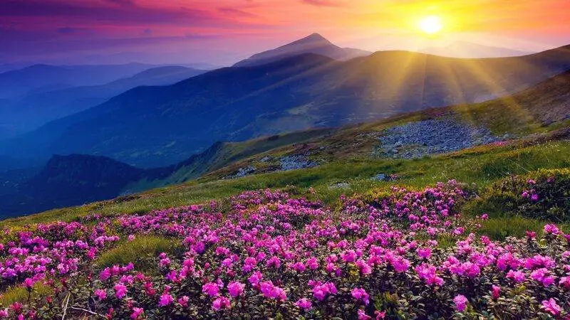 CIMA offshore fabrication services Vietnam