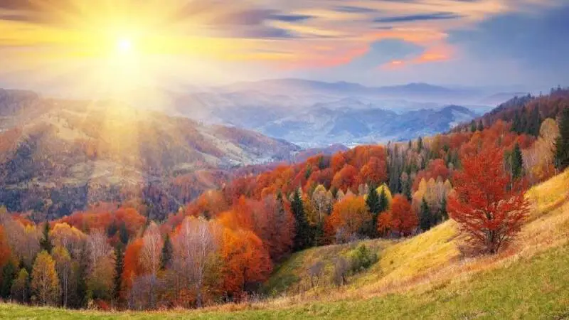 CIMA offshore fabrication services Vietnam