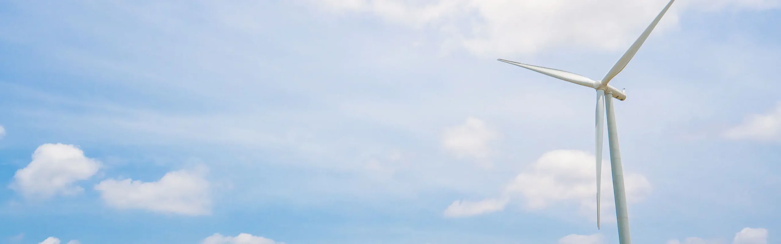 cima-our-team-call-to-action