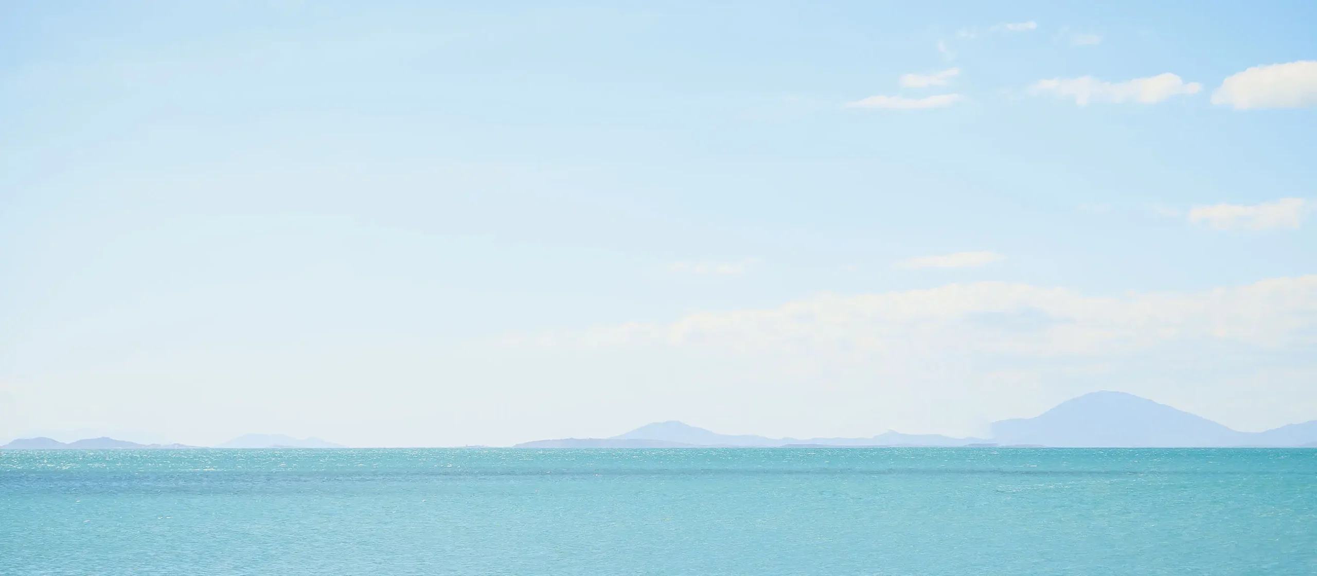 cima-project-management-what-we-manage